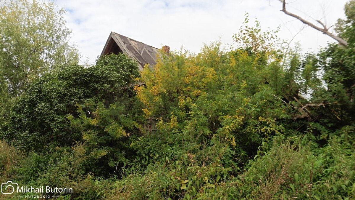 Дом утонул в сирени и акации. 