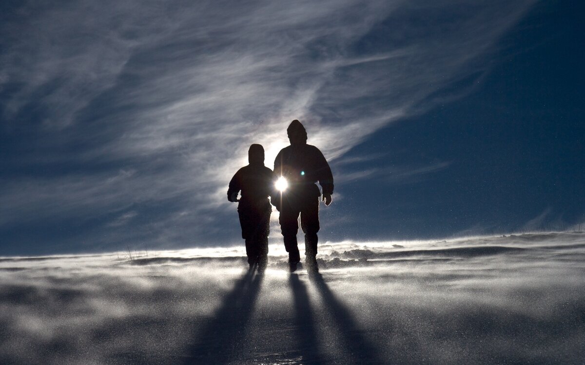 Изображение взято из свободного доступа просторов Интернета.