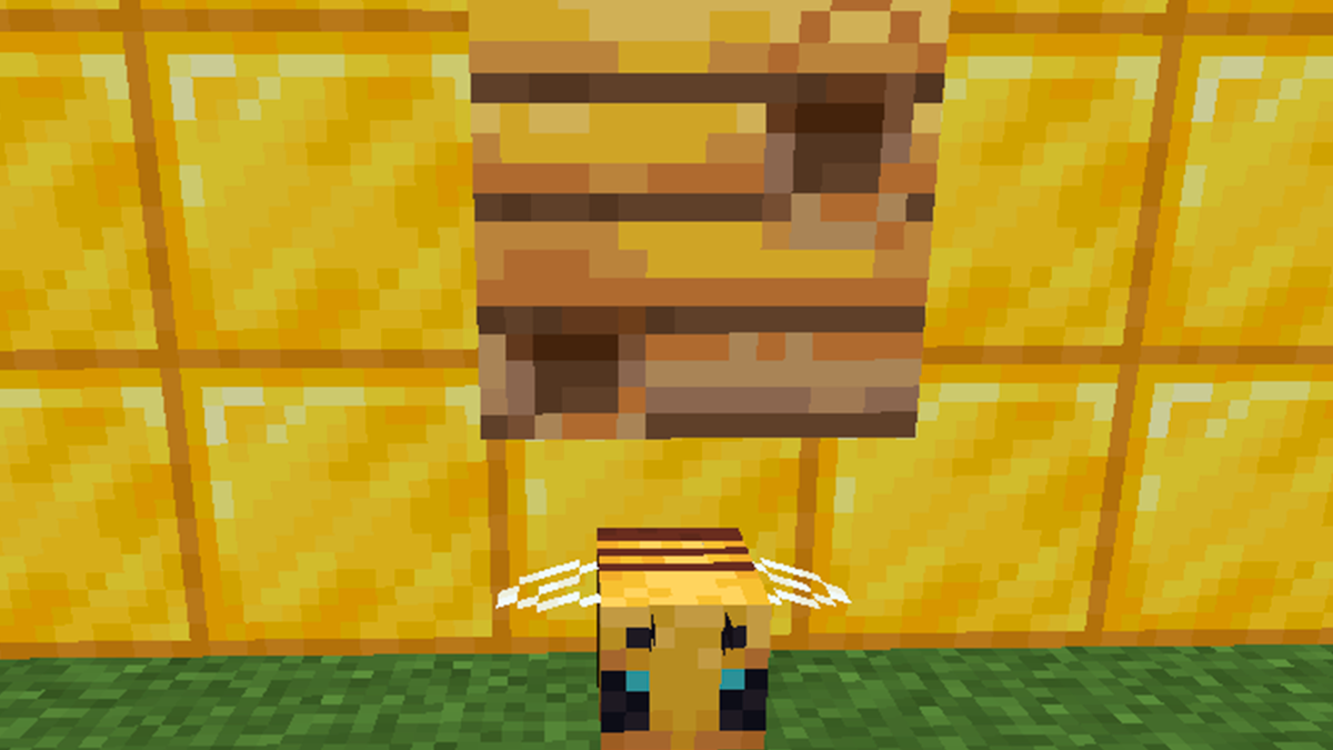 Фото автора канала. Превью.