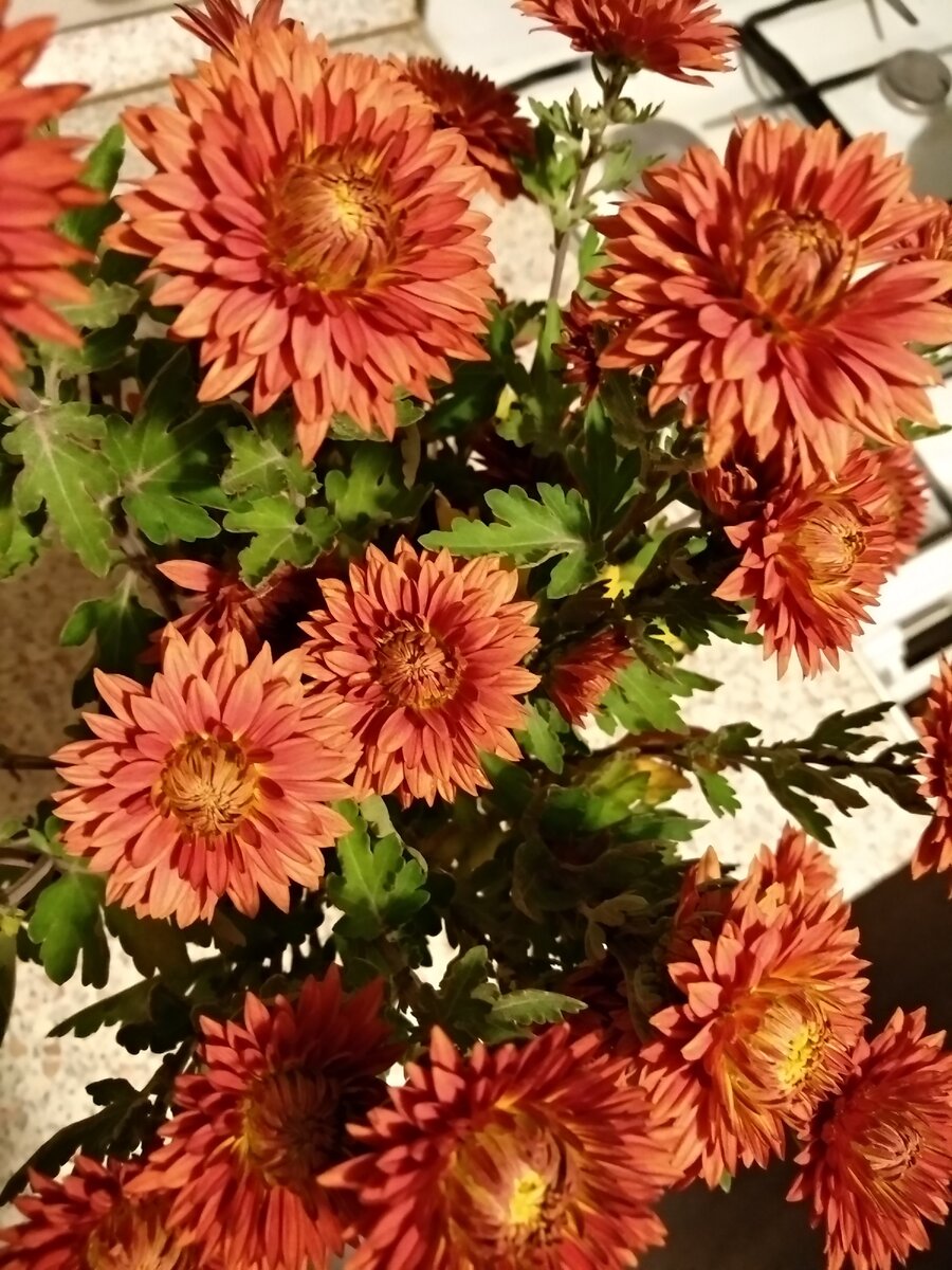 Старалась запечатлеть её необыкновенный цвет.