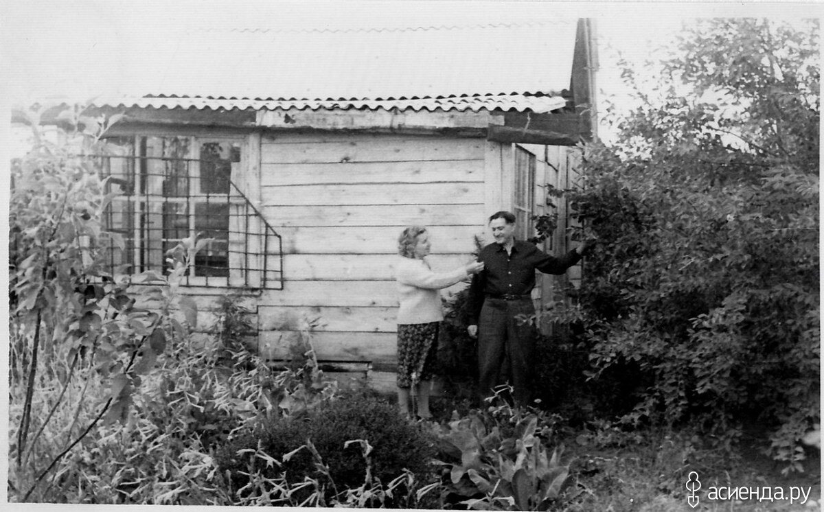 Фото из личного архива Ольги Сладковой | Источник: https://www.asienda.ru/post/47233/