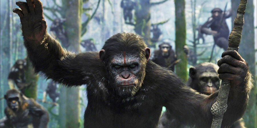 Источник изображения: кадр из х/ф "Планета обезьян: война"