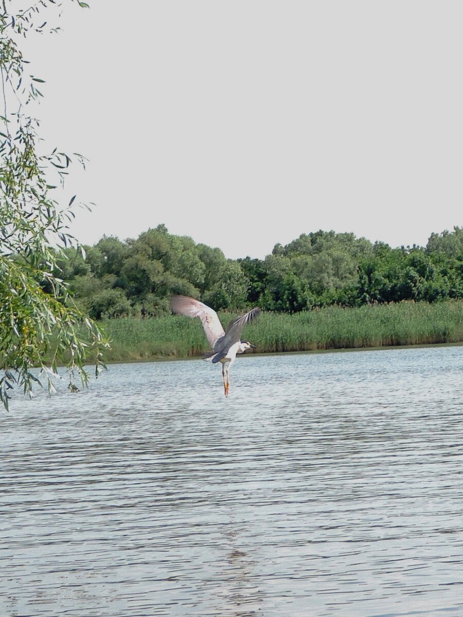 Фото из личного архива автора.