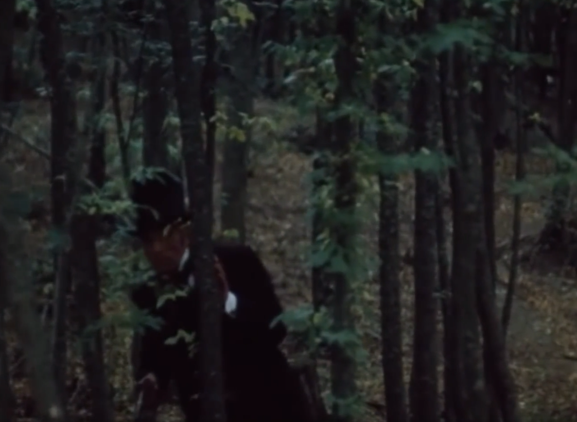 Кто крадется в чаще лесной?