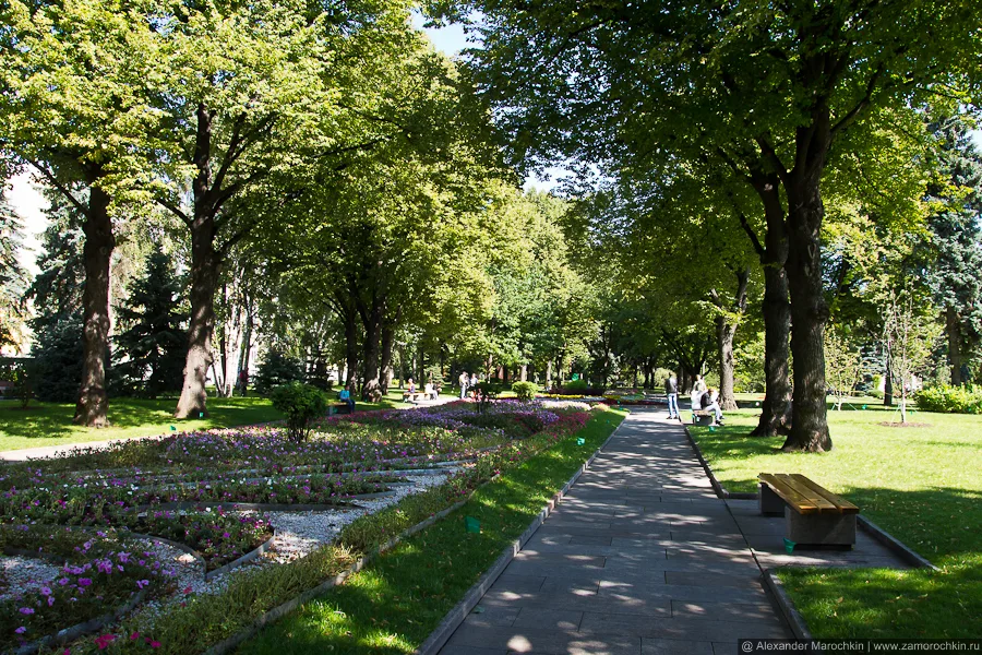 Сад московская ул 74 фото и видео