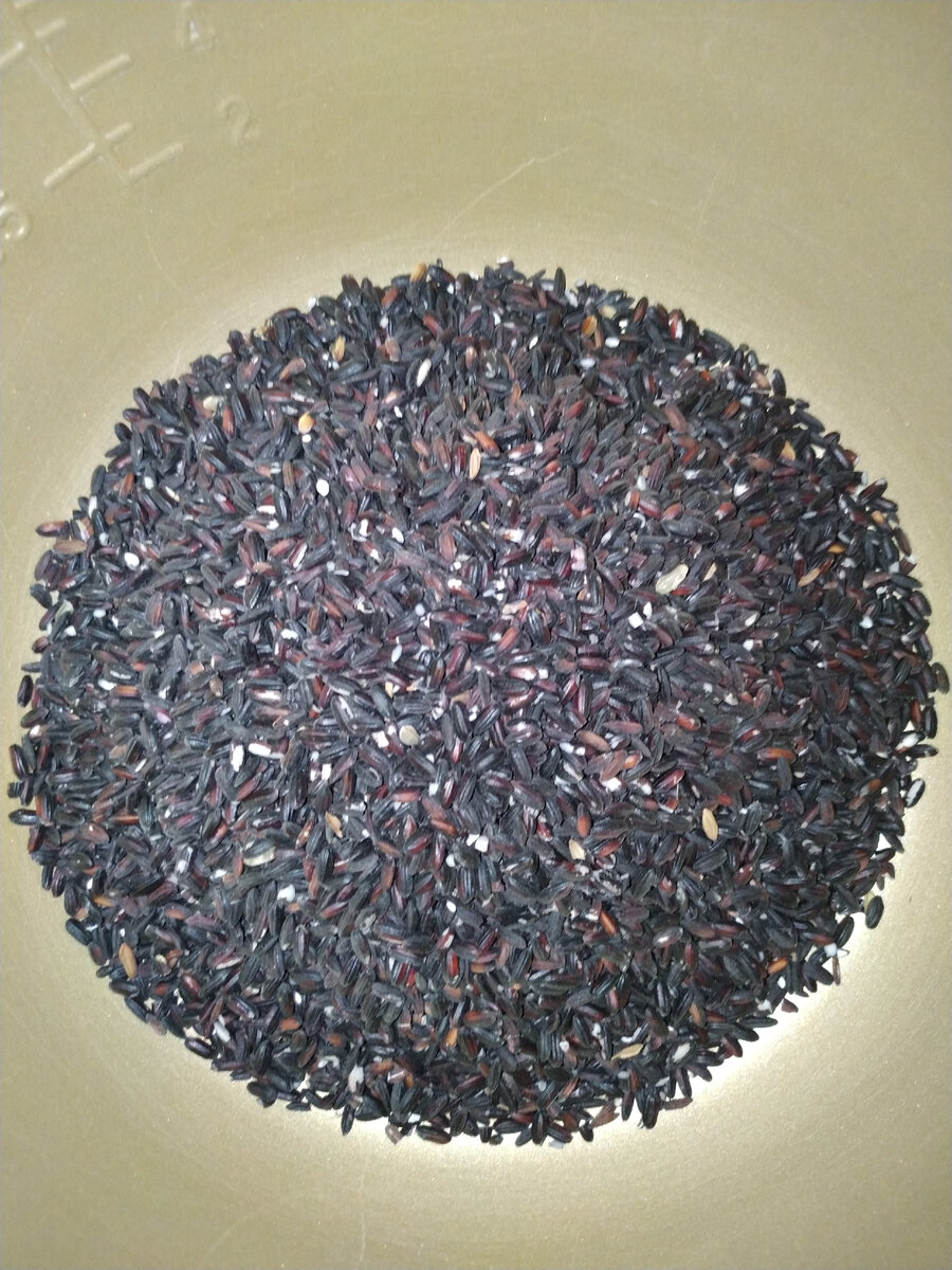 Чёрный рис - ketan hitam - содержит много белков, углеводов, а также железо.