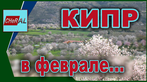 Кипр. Пафос, Коралл бей и горная вилла