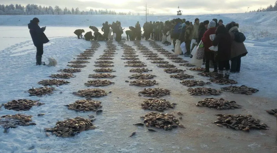 Мунха. Делят улова