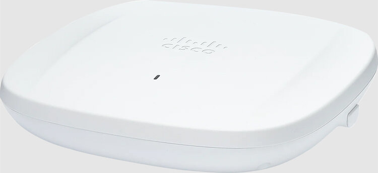 Catalyst 9136