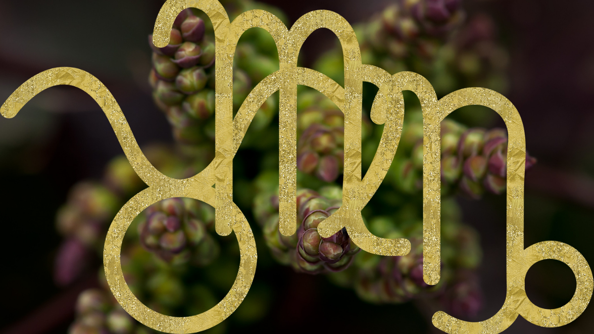 Знаки земной стихии и гороскоп