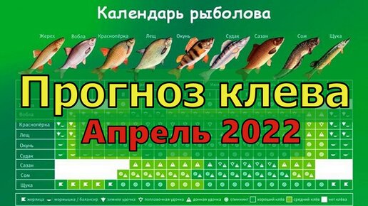Календарь рыбака на Апрель / Прогноз клева рыбы на Апрель / Лунный календарь  рыболова Апрель 2022 | Рыболовные Приключения | Дзен