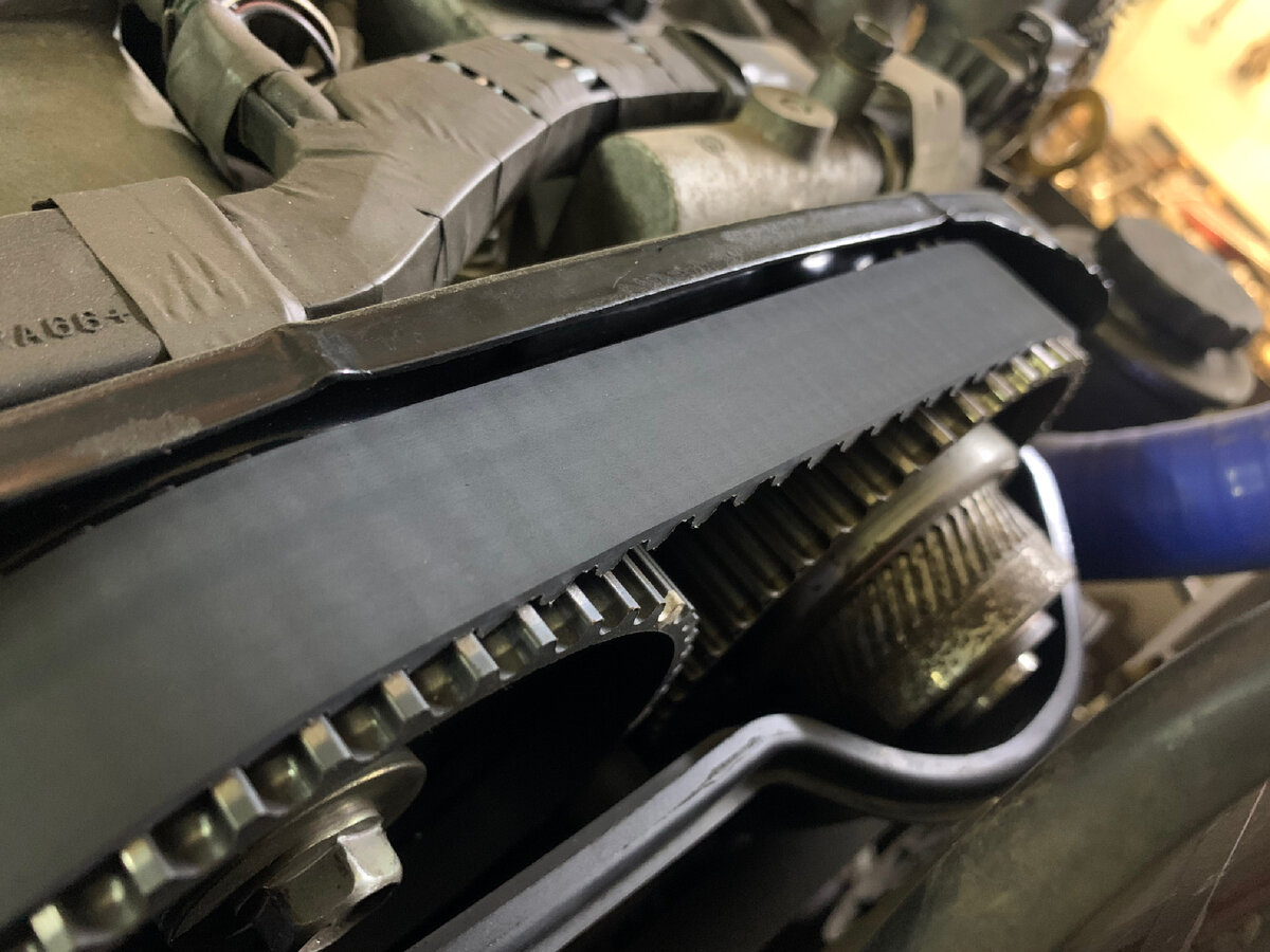 Ремень ГРМ новый 