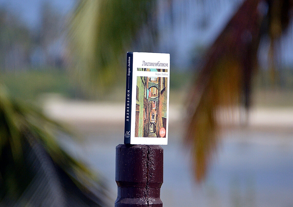 Борис Лейбов, роман "Лилиенблюм": Издательство ПЛАНЖ 2022