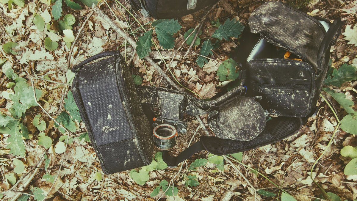 Фото Юрий Шумейко (ВК @id100510447)