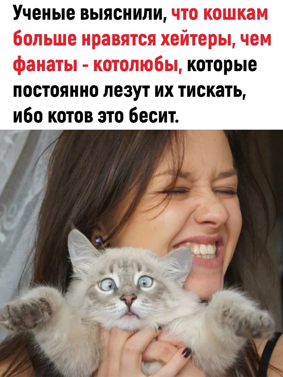 презентация по наркомании. презентация наркотики и наркомания. реклама со слепаковым вискас. кото зависимость. кото зависимость.