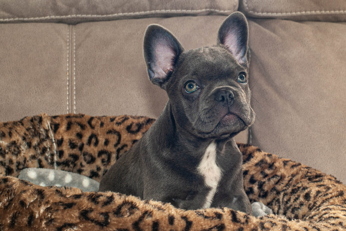 Зубоскалит не по делу? Встали и вышли из комнаты, предварительно сообщив авторитетным тоном: «нельзя!» 