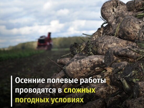     Фото: ВКонтакте / Курская область