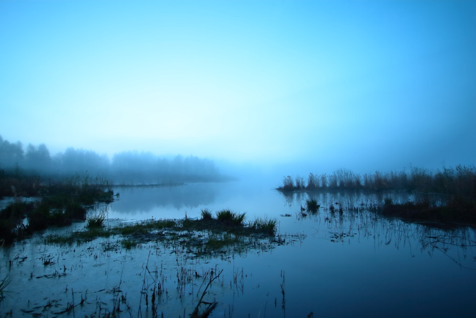 Свет сумрака