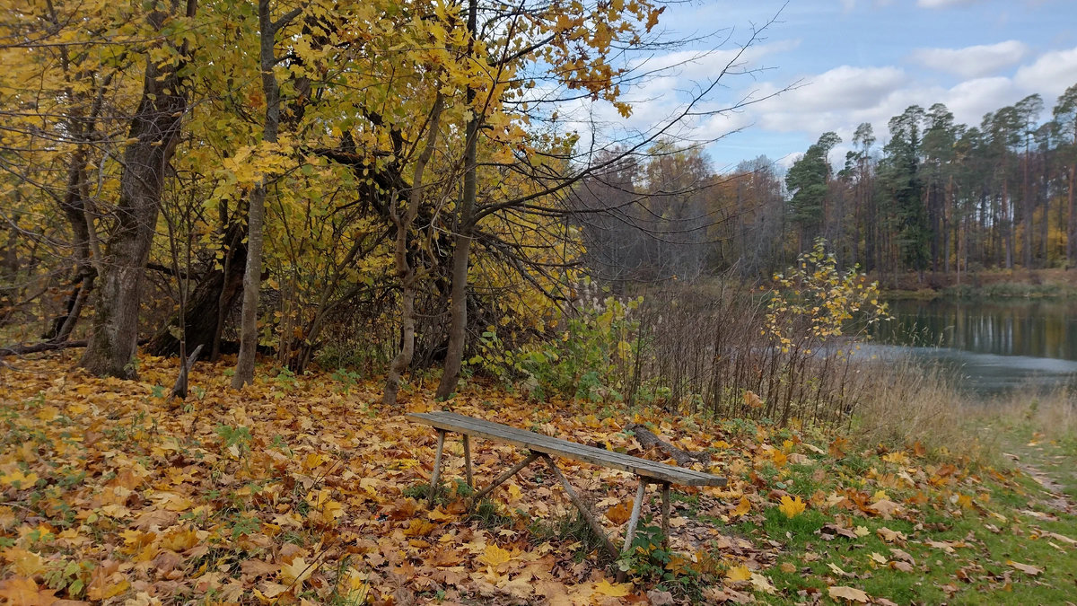 Фото Елены, автора канала "Тверичанка"