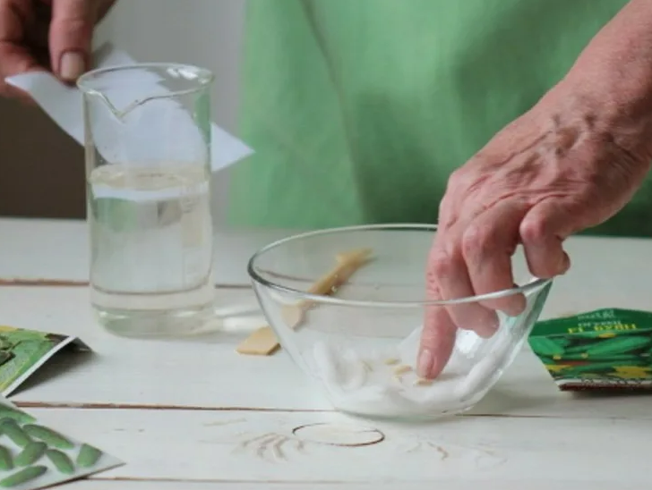 Фотография взята из источника zpitomnik.ru