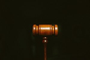    фото: unsplash.com Вера Беляева