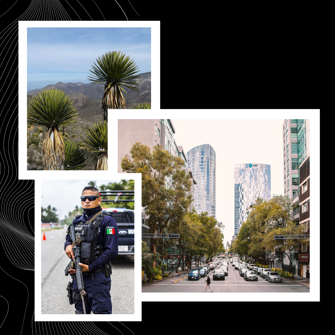 Картинки для коллажа взяты из Яндекс. Коллекция.