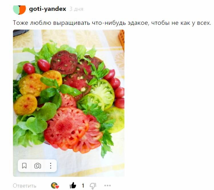 Вот такие роскошные помидорки выросли у подписчика канала goti-yandex
