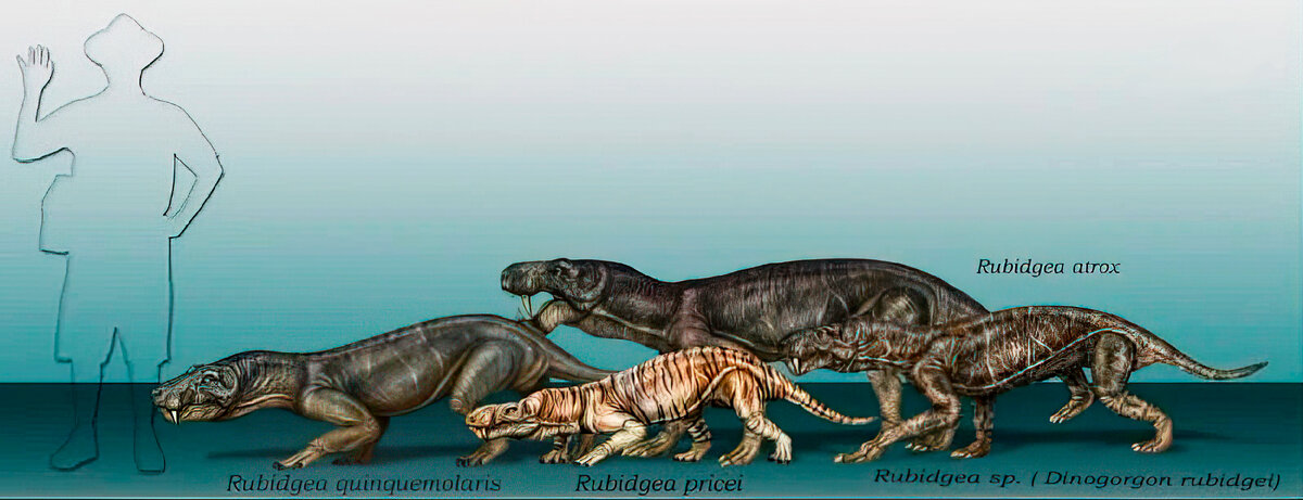 Горгонопс. Саблезубый звероящер. Вымершее животное. Факты о животных