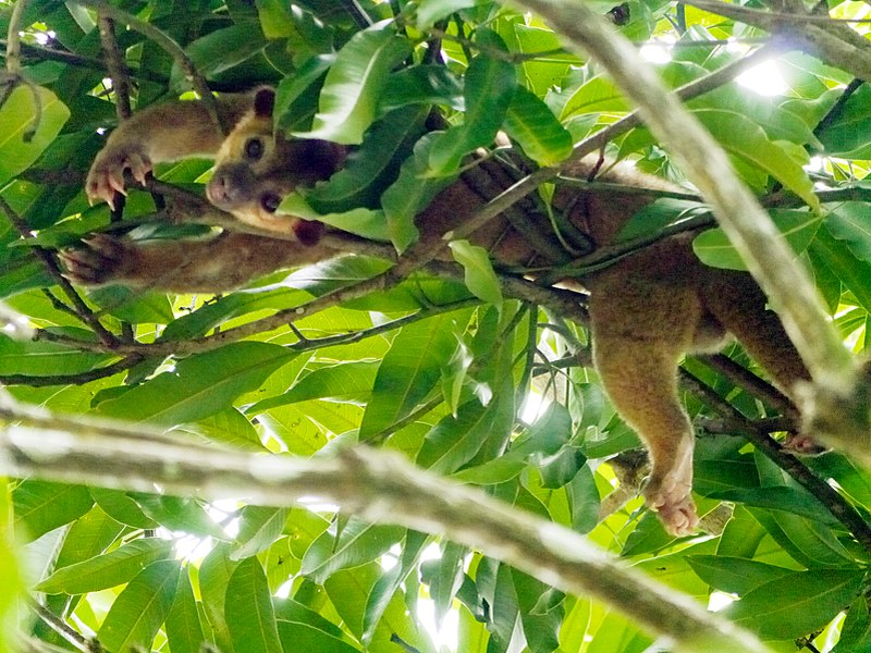 - Камеру кинь! Кинь кажу!