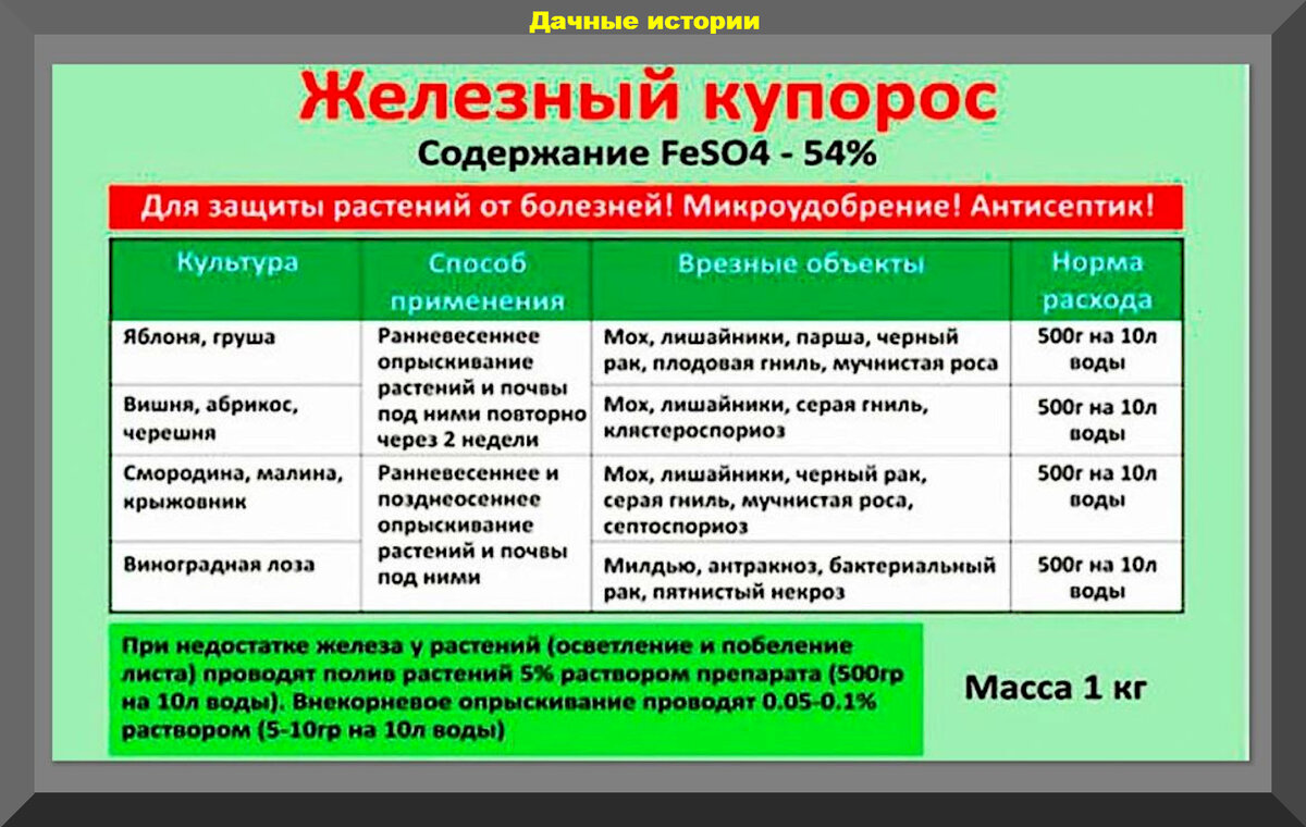 Когда можно обработать смородину медным купоросом. Железный купорос разведение для обработки садовых деревьев. Как развести медный купорос для обработки деревьев. Железный купорос Пермагробизнес 200 г.