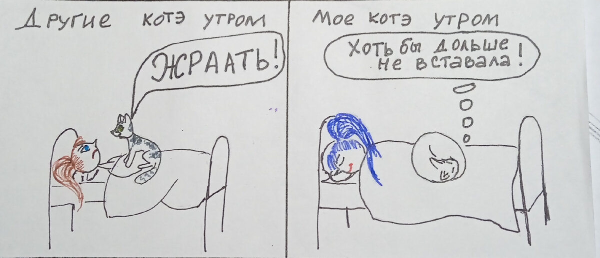 Котики бывают разные