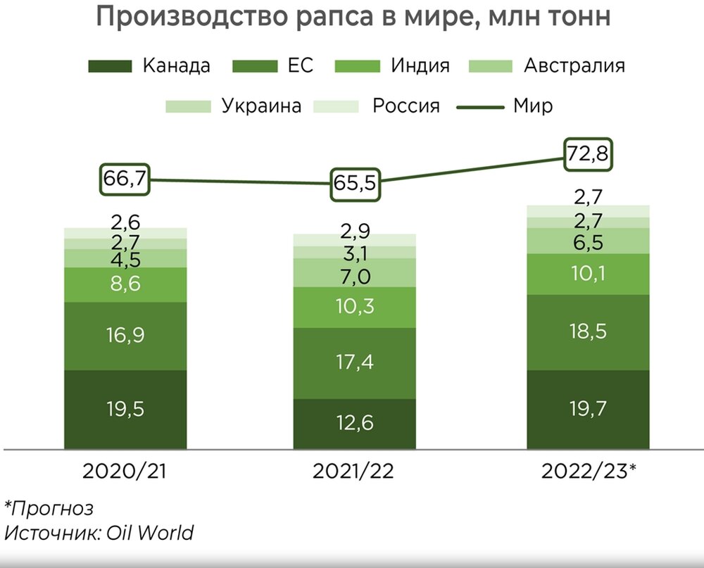 Бизнес план по производству рапса