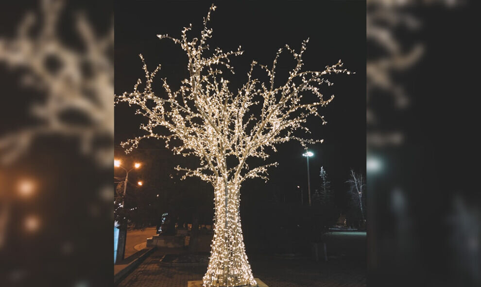    В Красноярске для новогодней атмосферы установили деревья с иллюминацией