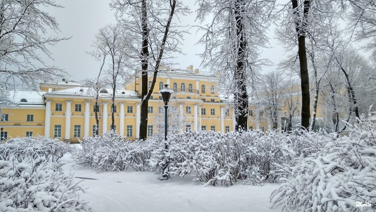 фото из интернета