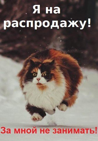 Фото: яндекс-картинки.