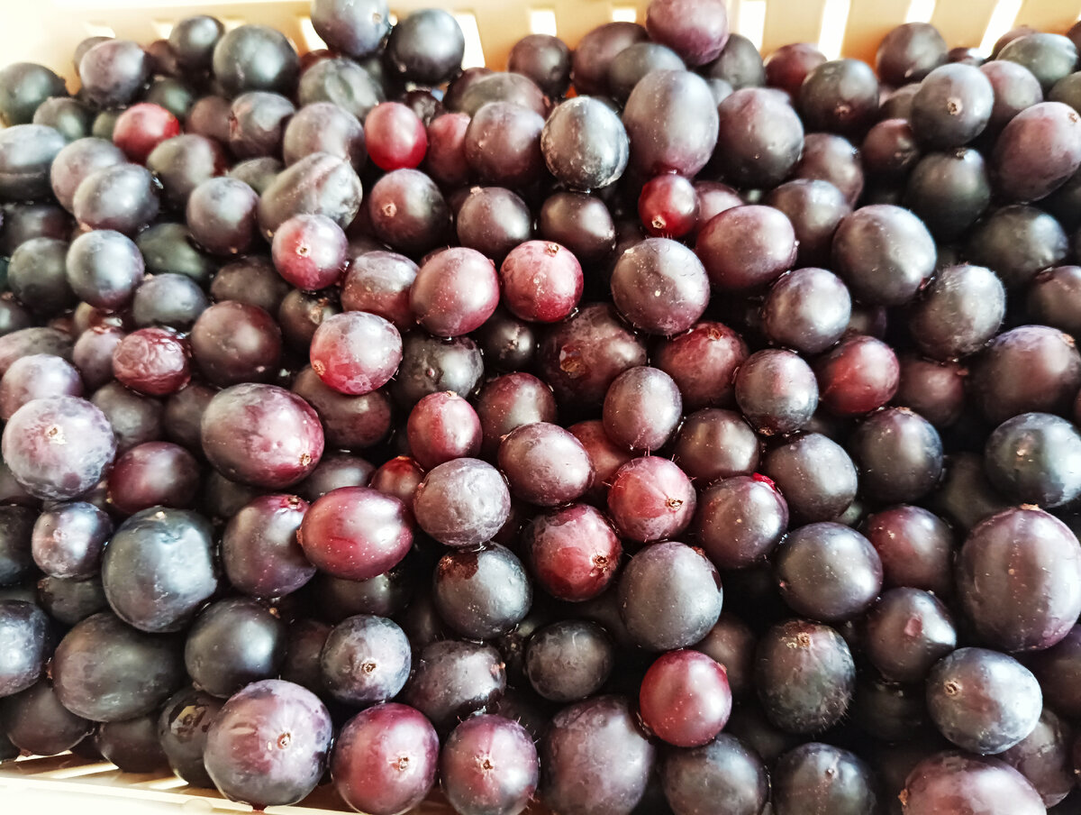 Фото: Вкусная еда без труда