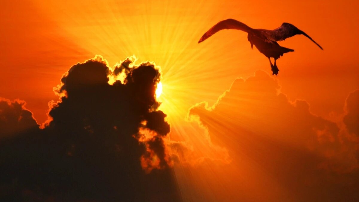 Фото: pxhere.com