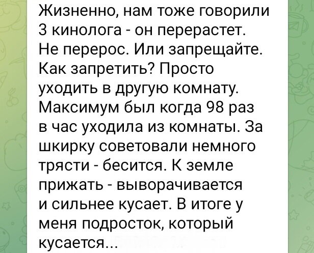 Фрагмент комментария под постом, размещенном в Телеграм-канале "Кинология РКФ"