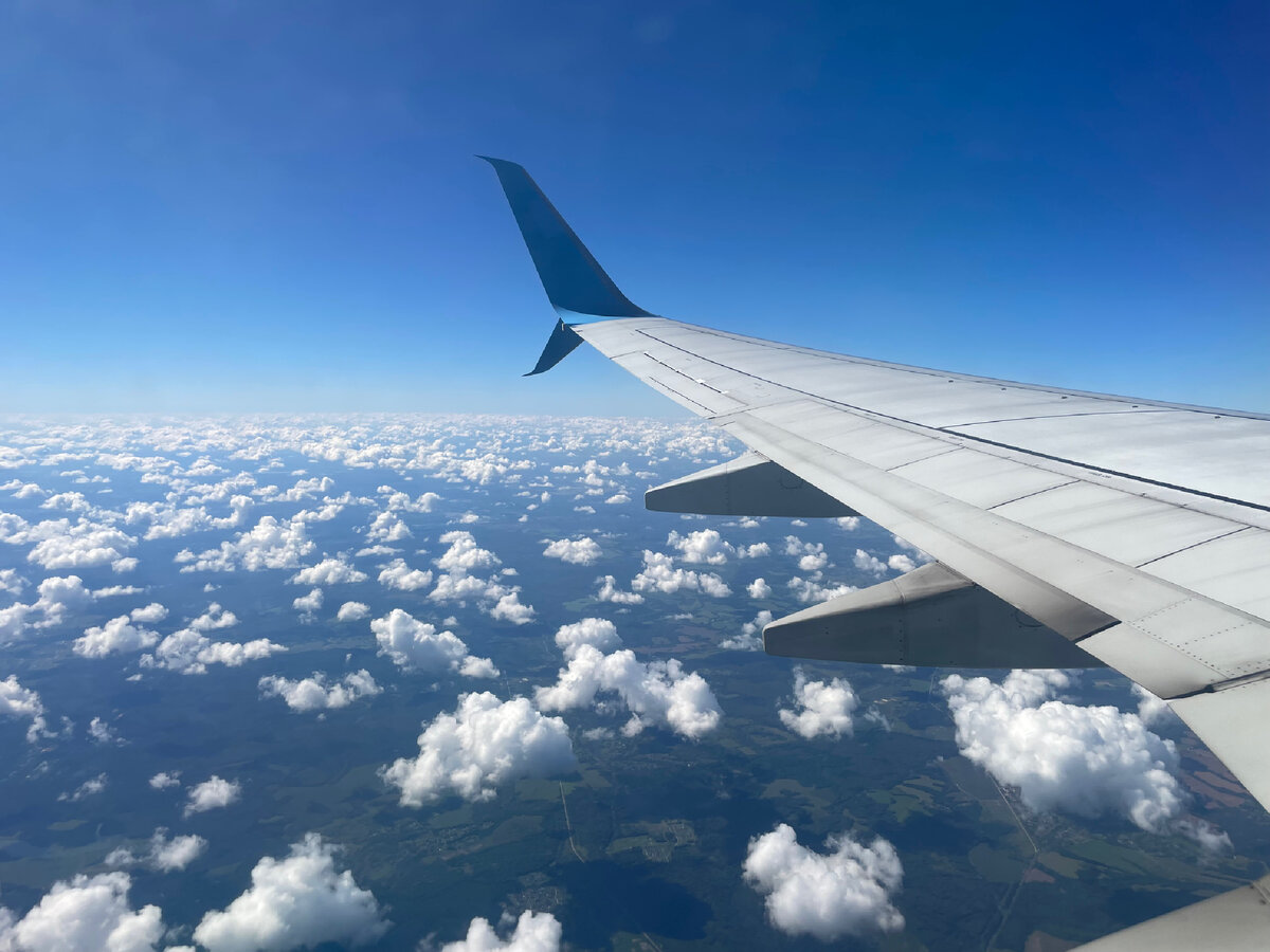 Фото: КалинингРадостные приключения.