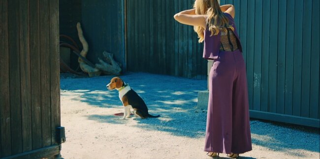 Кадр из сериала "Постучись в мою дверь"