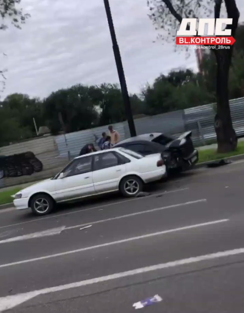    Фото: скриншот видео из телеграм-канала dpskontrol_28rus