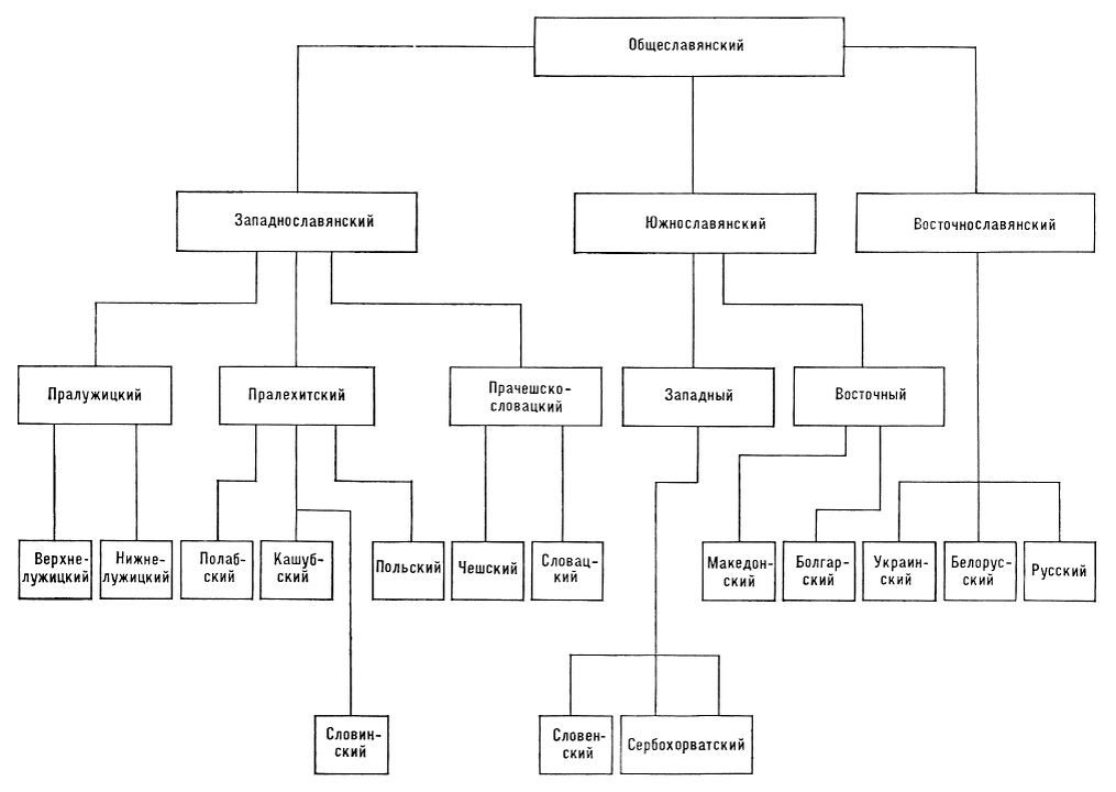 С помощью каких языков. Генеалогическая классификация индоевропейских языков схема. Генетическая классификация языков схема. Генеалогическая классификация славянских языков. Генеалогическая классификация языков Древо.