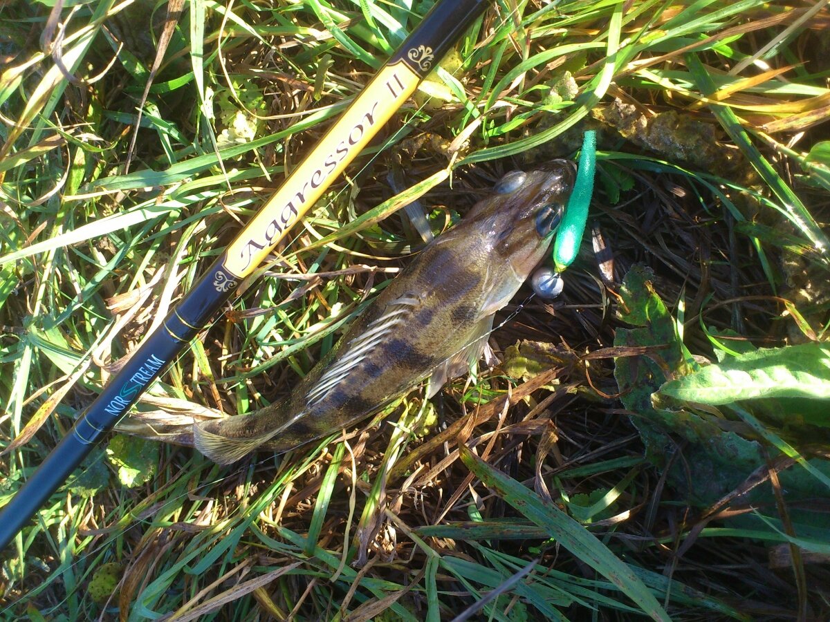 Воздушное настроение или еще раз о поролоне