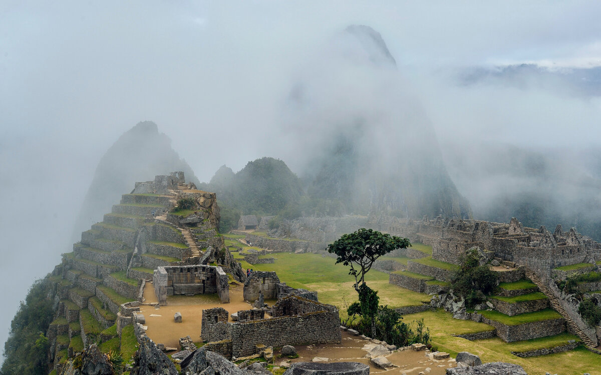 Photo by Pedro Lastra on Unsplash