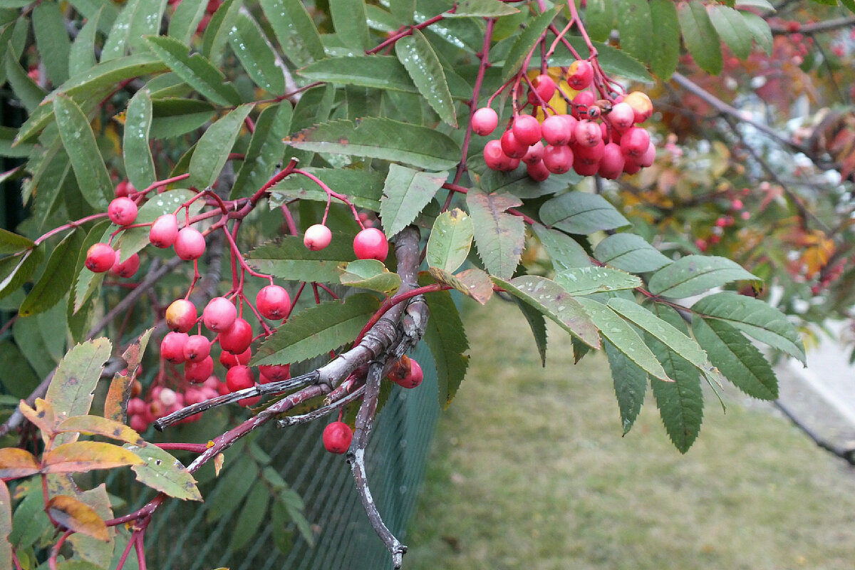 Фото: Victor Lisitsyn/Globallookpress