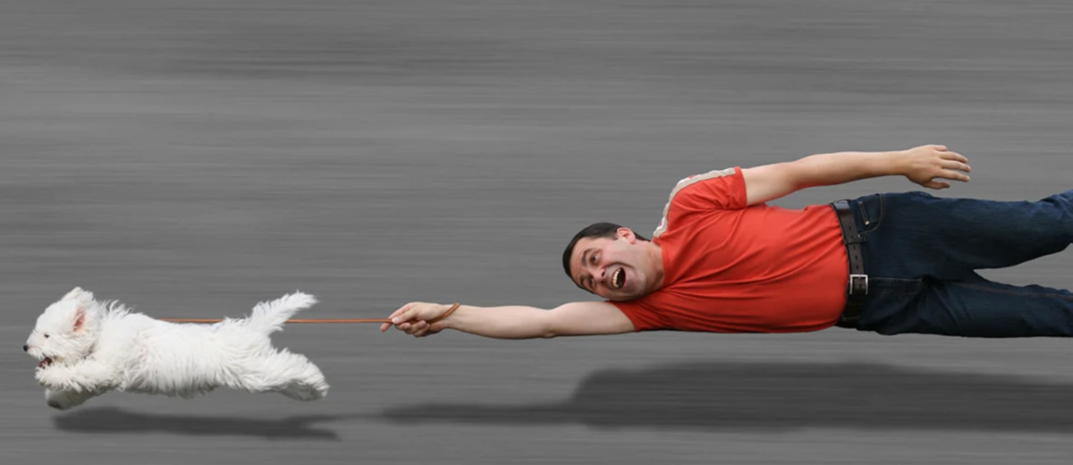 Фото из открытых источников.