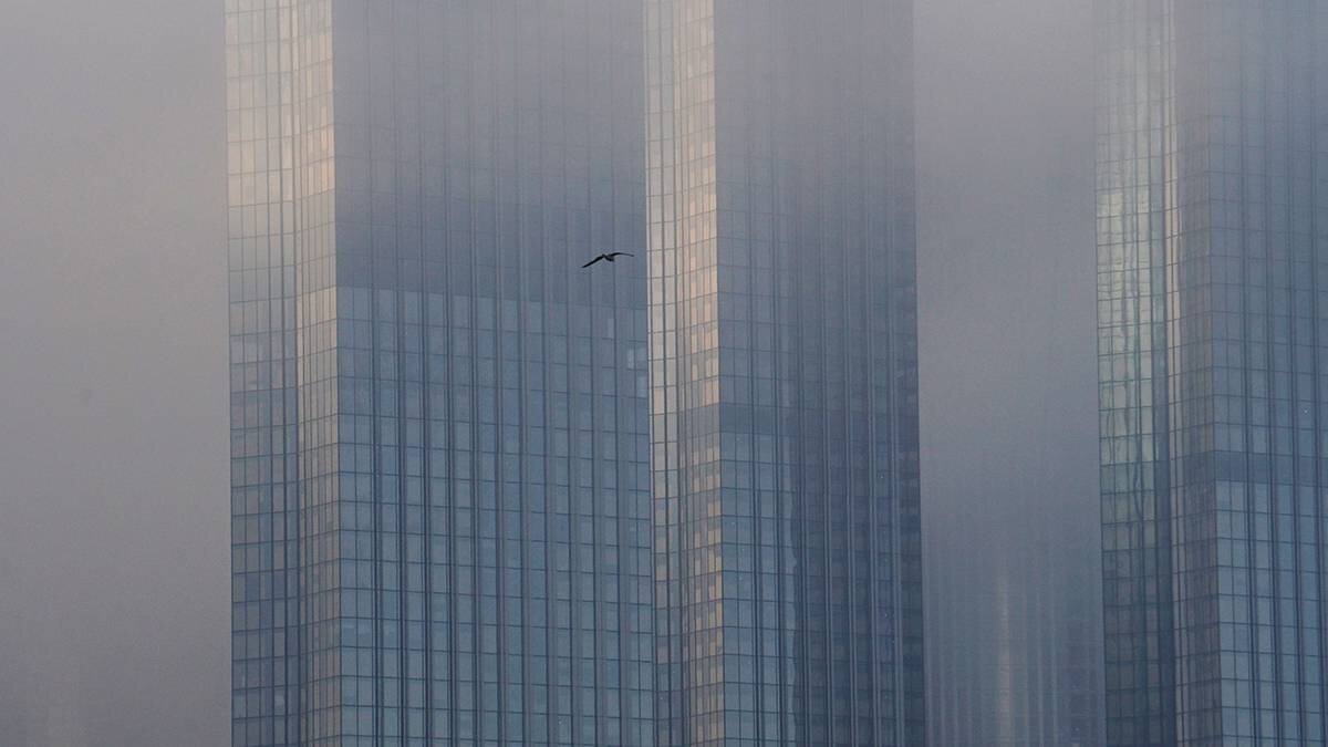    Фото: Анатолий Цымбалюк / Вечерняя Москва