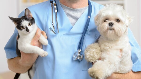 Яндекс.ДиректЕсть противопоказания. Посоветуйтесь с врачом.Как я вылечила панкреатитУзнать большеsimplexmedical.websiteЛечение кошек в Н. НовгородеУзнать большеnn-vet.ru