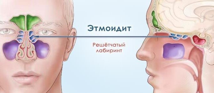 Рисунок: gettyimages