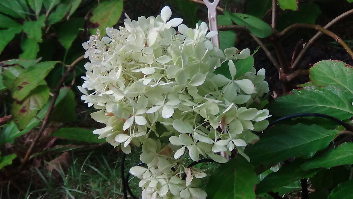 На территории парка красиво